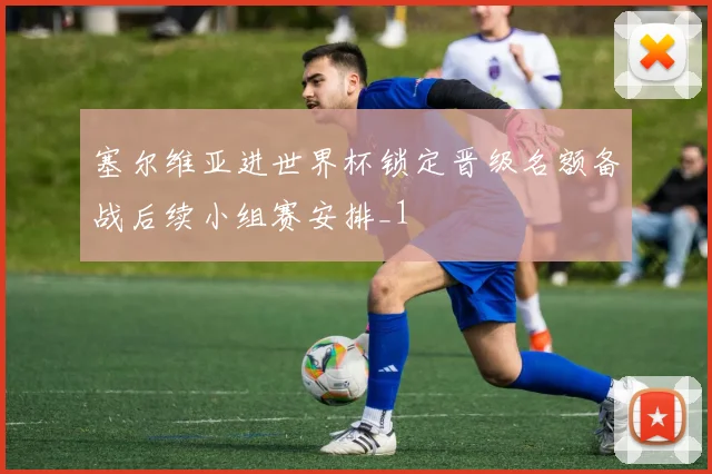 塞尔维亚进世界杯锁定晋级名额备战后续小组赛安排_1