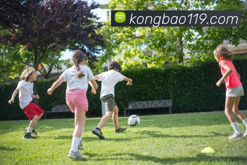 多媒体互动体验